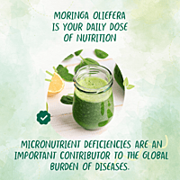 MORINGA LEAVES POWDER | SUPERFOOD FOR ALL