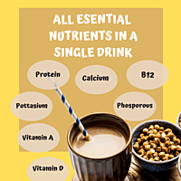SATTU-VITA CHOCO FLAVOUR | ENERGY DRINK SATTU-VITA CHOCO FLAVOUR | ENERGY DRINK