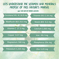MORINGA LEAVES POWDER | SUPERFOOD FOR ALL